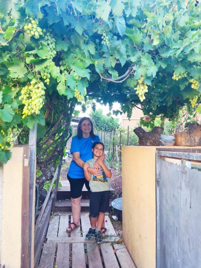 בין הר למעיין Leilighet Kfar Tavor Eksteriør bilde