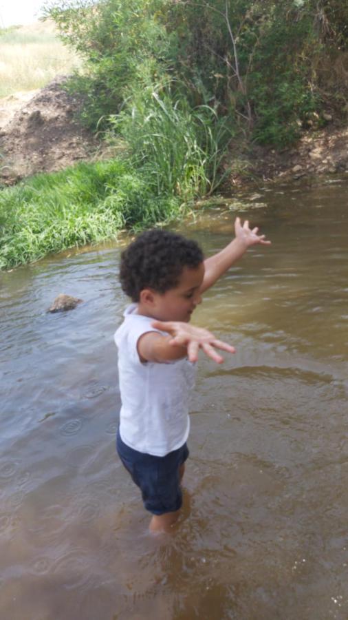 בין הר למעיין Leilighet Kfar Tavor Eksteriør bilde