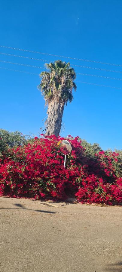 בין הר למעיין Leilighet Kfar Tavor Eksteriør bilde